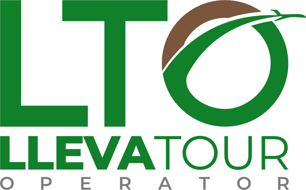 LTO